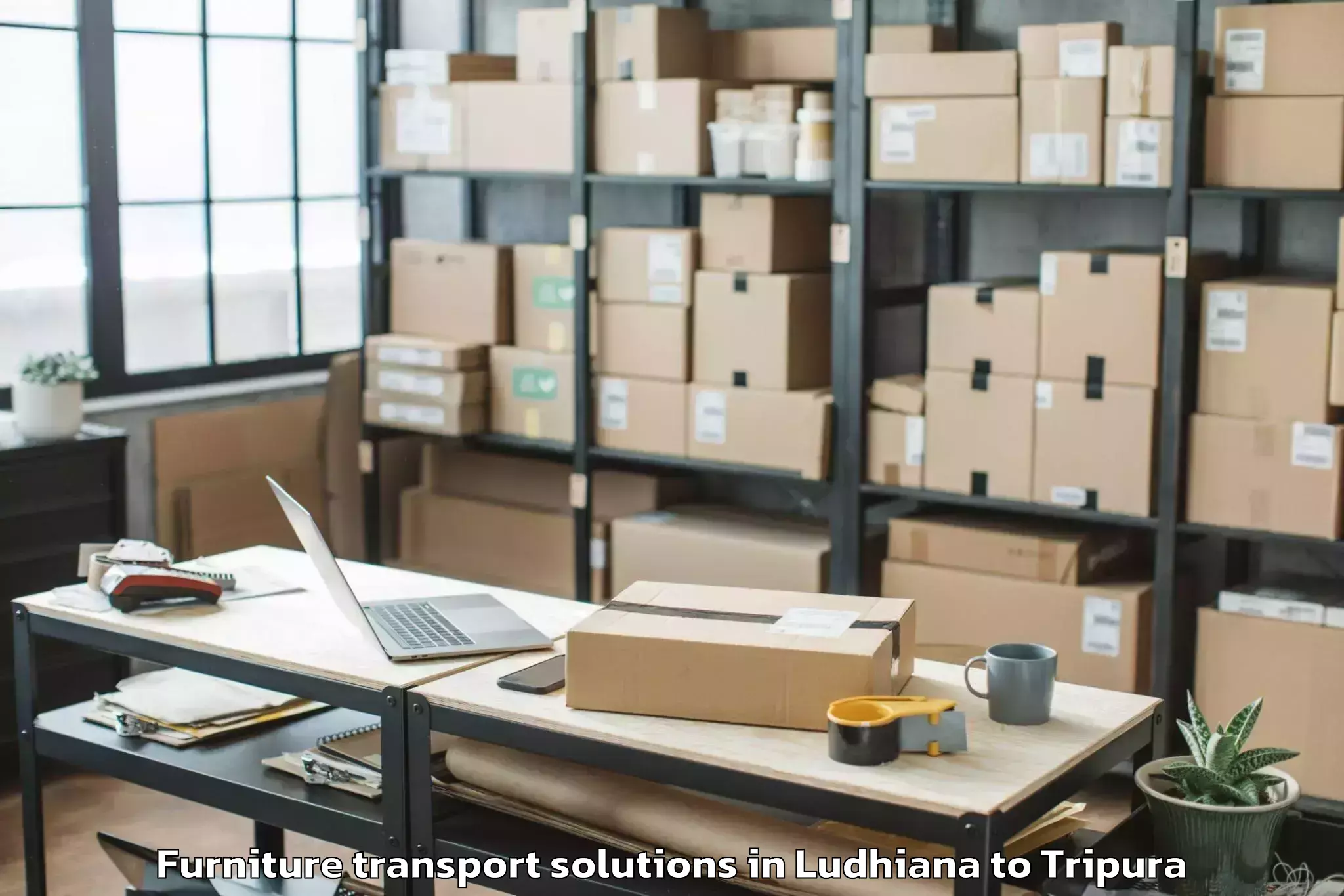 Book Ludhiana to Kailashahar Furniture Transport Solutions Online